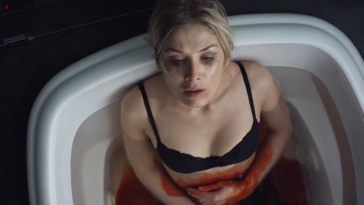 Rosamund Pike hot sex in the car doggy style and Emily Meade nude brief  topless- Burning Palms (2010) hd720p